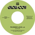 Promised Land<限定盤>
