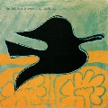 Black Bird - Sort Fugl