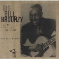 Big Bill Blues: His 23 Greatest Hit Songs 1927-1942