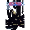 BLEACH -ブリーチ- 15