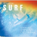 The Search For Surf