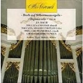 Bach on Silbermann's Organs Vol.2 - J.S.Bach: Organ Works