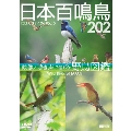 日本百鳴鳥 202 HD/ハイビジョン映像と鳴き声で愉しむ野鳥図鑑 Wild Birds of Japan HD