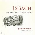 ヒストリカル・オルガンによるJ.S.バッハのオルガン作品集Vol.2 ～ 幻想曲、前奏曲とフーガ