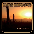 Twilight In The Desert<Red Transparent Splatter Black Vinyl/限定盤>