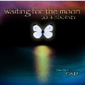 Waiting For The Moon