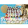 チームしゃちほこPHOTOカレンダーBOOK 2015