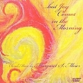 Margaret S.Meier: But Joy Comes in the Morning / Bruce Rogers(cond), Andreas Baumgartner(cond), Moravian Philharmonic Orchestra, etc