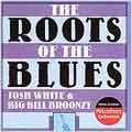 Roots Of The Blues (Collectables)
