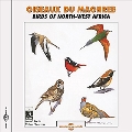Oiseaux du Maghreb: Birds of North-West Africa