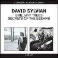 Classic Albums : Brilliant Trees / Secrets Of The Beehive