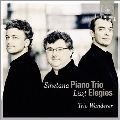 Smetana: Piano Trio; Liszt: Elegies