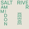 Salt River