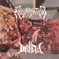 Fecundation/INVICTUS