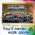 You'll Never Walk Alone