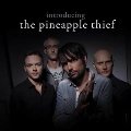 Introducing The Pineapple Thief