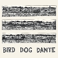 Bird Dog Dante
