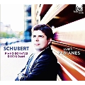 Schubert: Piano Sonatas D960, D664