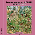 Paysages Sonores Du Mexique: Soundscapes Of Mexico