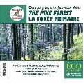 The Pine Forest: La Foret De Sapins