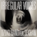 「IRREGULAR VOICES」 feat 赤飯