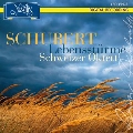 Schubert: Lebenssturme