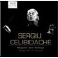 Sergiu Celibidache - Magician of Sound (10-CD Wallet Box)
