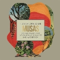 Musas (Un Homenaje Al Folclore Latinamerica En Manos De Los Macorinos)Vol.2