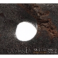 TRAVESIA RYUICHI SAKAMOTO CURATED BY INARRITU