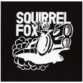 Squirrel Fox Sampler