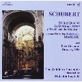 Schubert: String Quartet D 810 / Goldbert Ensemble