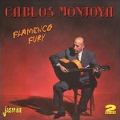 Flamenco Fury