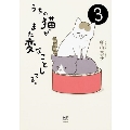 うちの猫がまた変なことしてる。3 (3)
