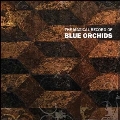 The Magical Record Of Blue Orchids