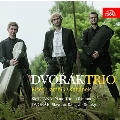 Trio Works - Smetana, Dvorak