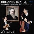 Brahms: Piano Trios Vol.1