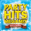 PARTY HITS MEGAMIX ～Queen of Megamix～ mixed by DJ 瑞穂