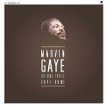 Marvin Gaye Vol.3: 1971-1981<限定盤>