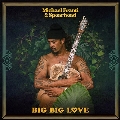 Big Big Love<Colored Vinyl>