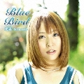 Blue Bird