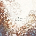 Buzzflower