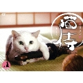 ドラマ「猫侍」DVD-BOX