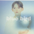 blue bird
