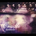 Attitude