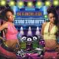 ZUM ZUM HITS～KING OF DANCEHALL REGGAE～