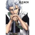 BLEACH [斬魄刀異聞篇4]