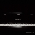 CAMINOS＜完全限定生産盤＞