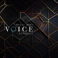 VOICE-REBORN-