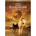 ヤング・ブラック・スタリオン 特別版