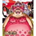 ONE PIECE ワンピース 20THシーズン ワノ国編 PIECE.13